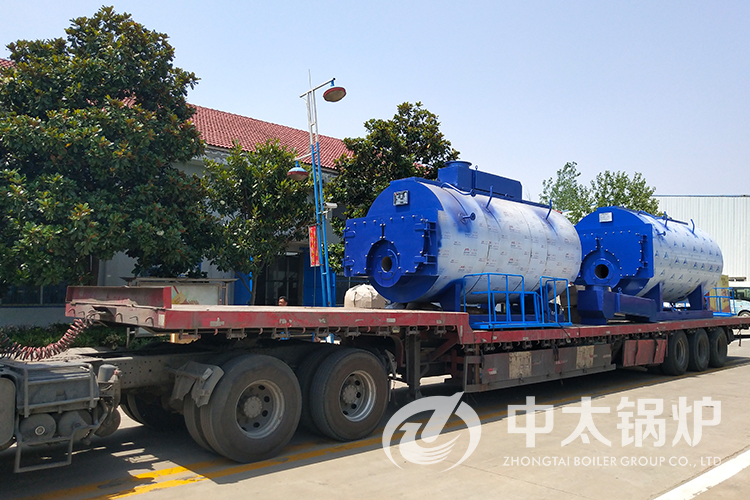 河南某飼料廠2噸燃?xì)庹羝仩t